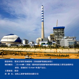 黑龍江綏化北林熱電(濟(jì)南鍋爐集團(tuán)總承包)