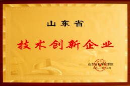 技術創(chuàng)新企業(yè)